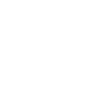 Icon digitale Reichweite